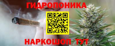 дурь Кингисепп