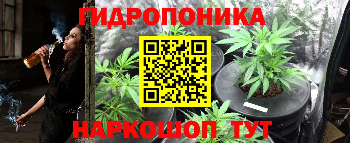 Шишки марихуана марихуана Комсомольск-на-Амуре